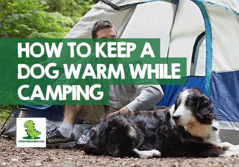 How to Keep a Dog Warm While Camping