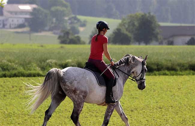 Pregnant Riding