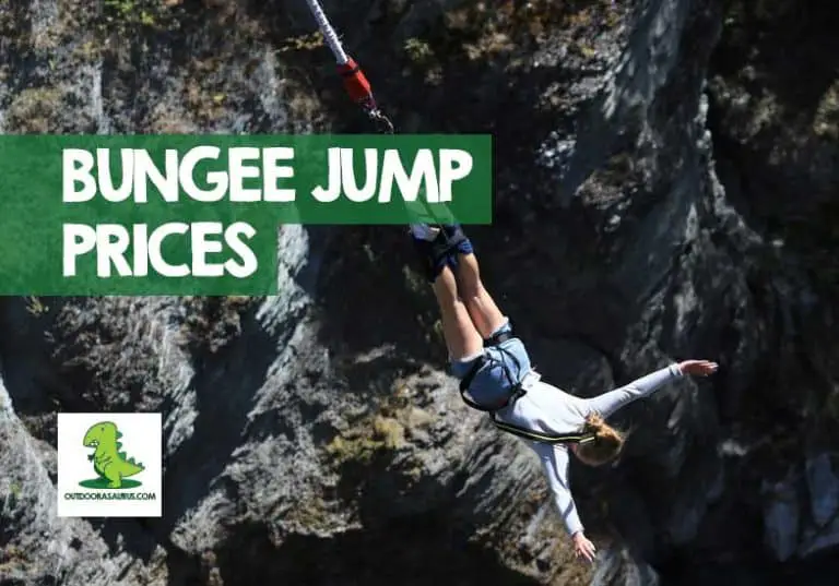 How Much Does It Cost to Bungee Jump? (Country Prices)