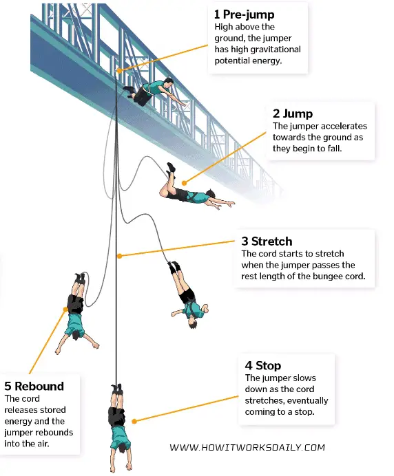 Unveiling the Science Behind Bungee Jumping Rope Tension Extreme