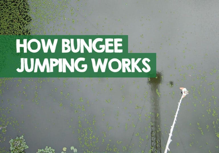 How Does Bungee Jumping Work