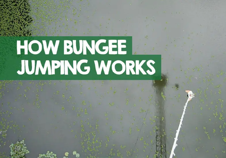 How Does Bungee Jumping Work? + How They Test (Video)
